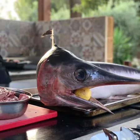 Szálloda Oasi Di Selinunte Castelvetrano