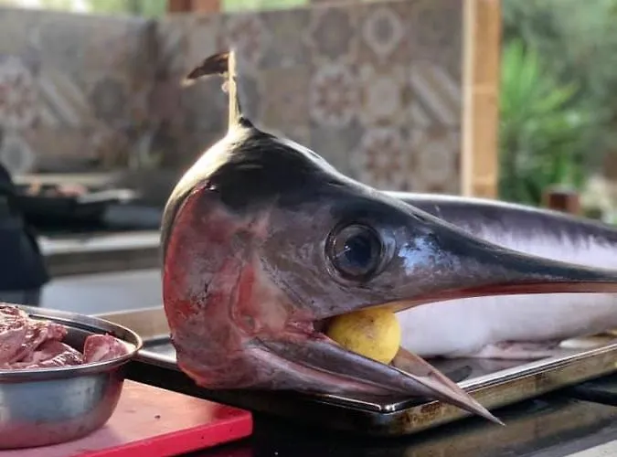 酒店 Oasi Di Selinunte Castelvetrano